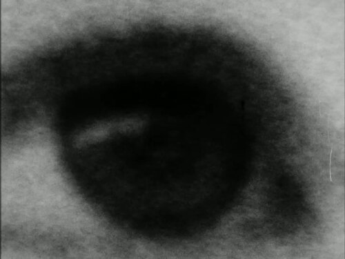 Daisy (advertisement)